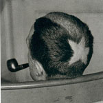 Picture of Rhan Small Ernst